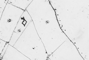'Moat' in Mount Field alongside Queen Mary's La